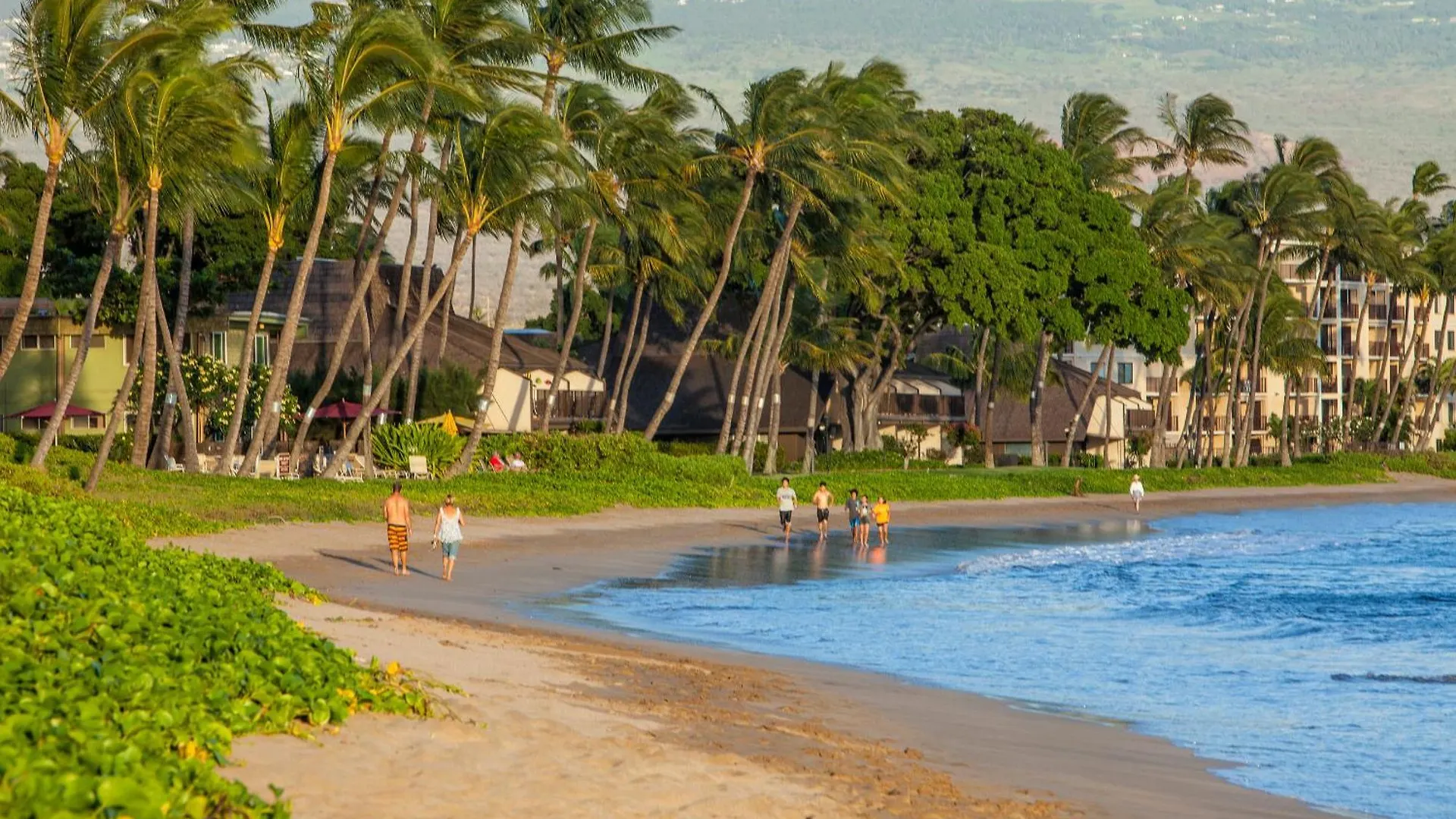Sugar Beach 124 - Mch Kihei
